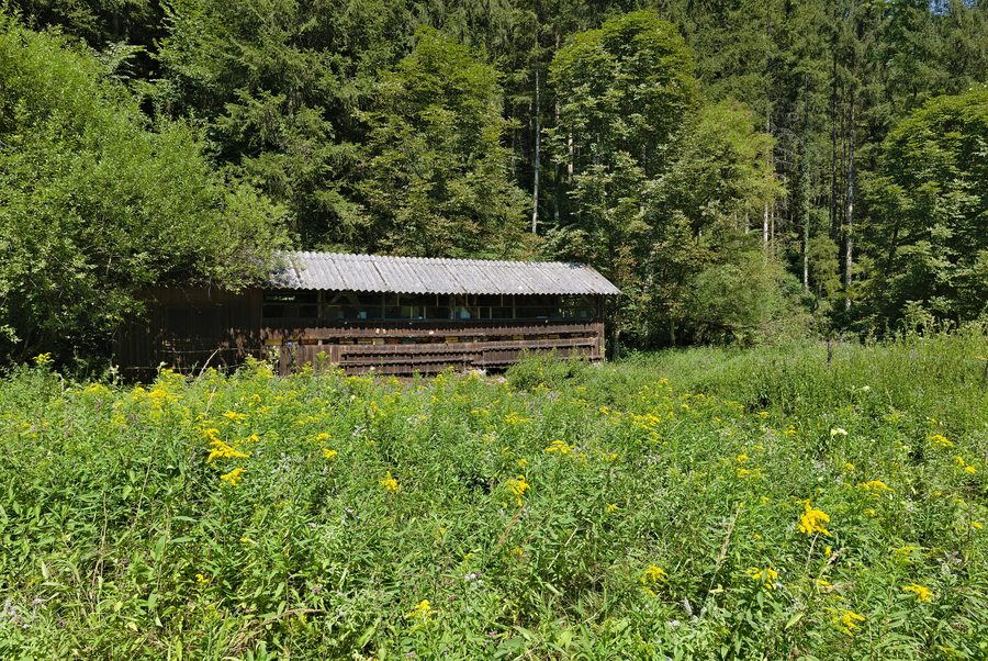 WeiĂźenbach Valley near Reichraming in Upper Austria