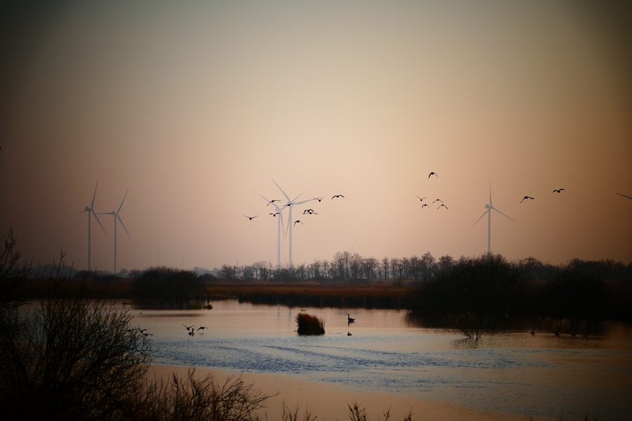 Landscape on the southern edge of the Lundener Niederung near Rehm-Flehde-Bargen