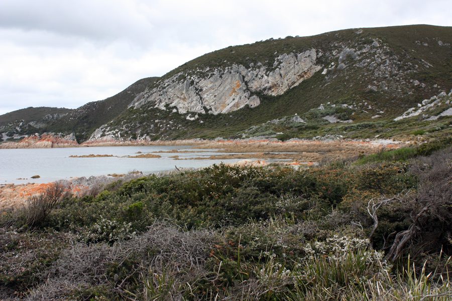 Coastal landscape in Rocky Cape National Park in Tasmania