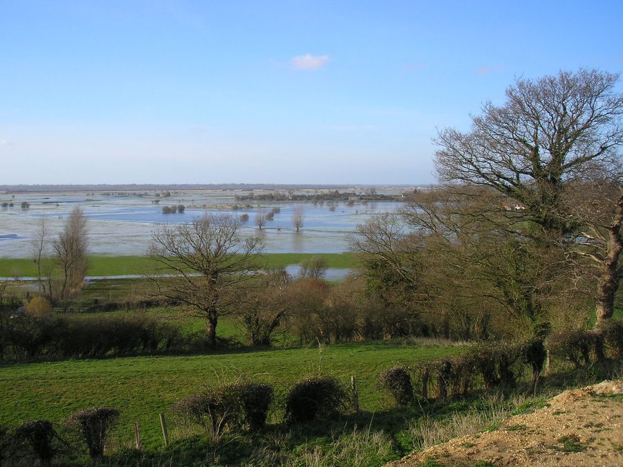 View of the Cotentin marshland near Graignes in Normandy