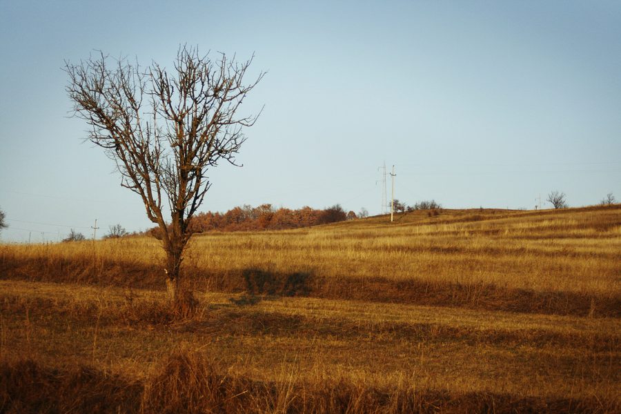 Rural surroundings of Përlepnicë in the municipality of Gjilan