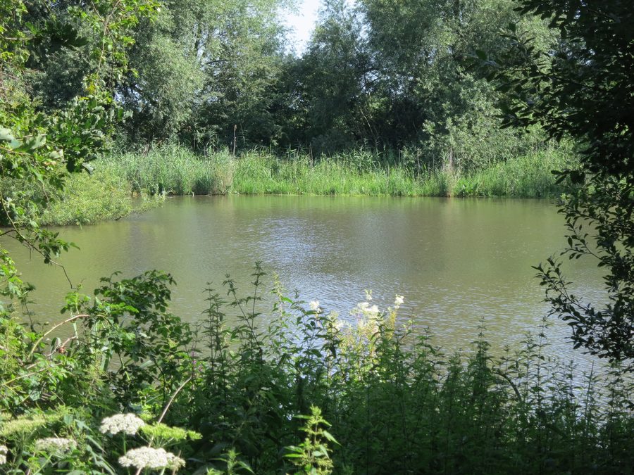 Southeastern end of Kirchweyher See in Weyhe-Sudweyhe