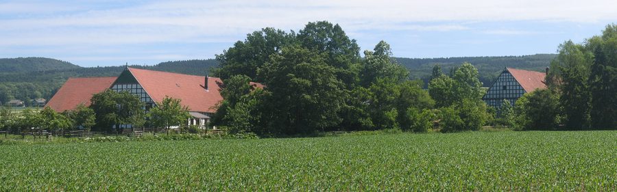 Panoramic view of the Wiehen Hills in Lübbecke, North Rhine-Westphalia