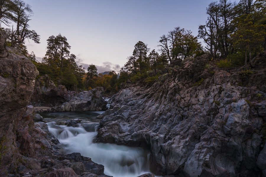Radal Siete Tazas in the Maule Region