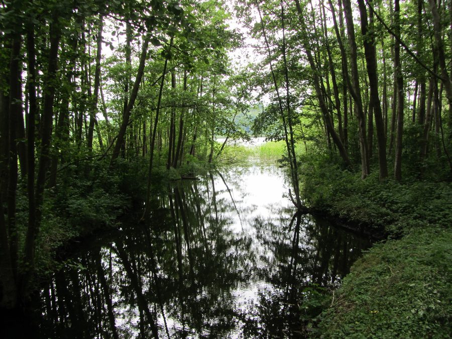 Outflow of Lake Passow near Passow in the Ludwigslust-Parchim district