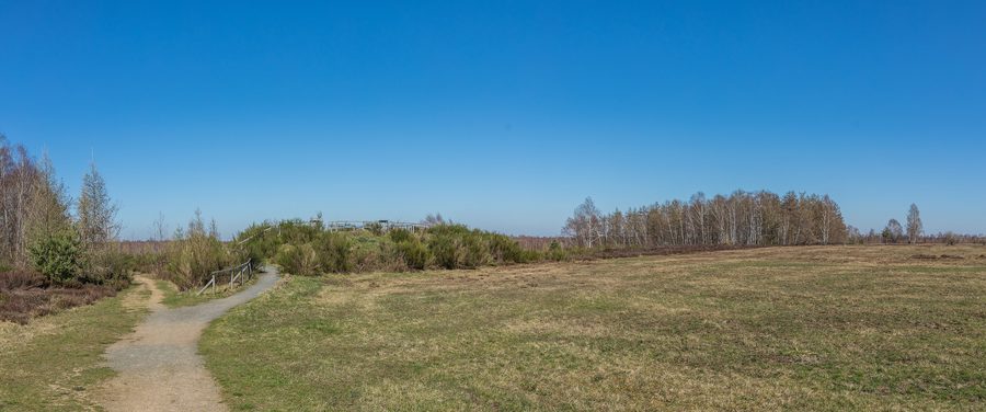 Landscape in the Drover Heide nature reserve in the Düren district