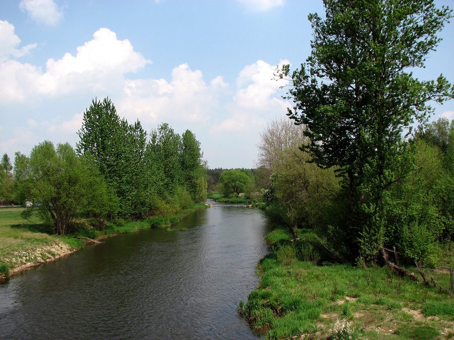 The Liswarta river viewed from a bridge in Popów, Silesian Voivodeship, Poland