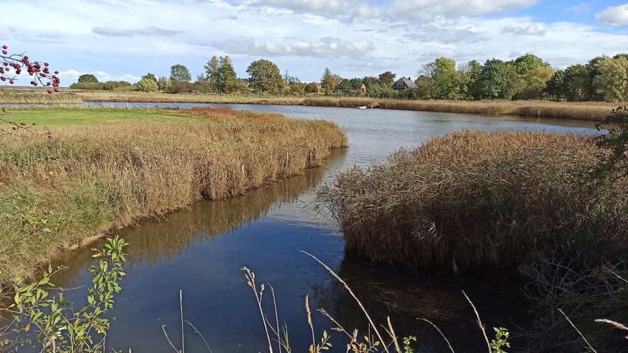 Mouth of the Olpenitz into the Schlei