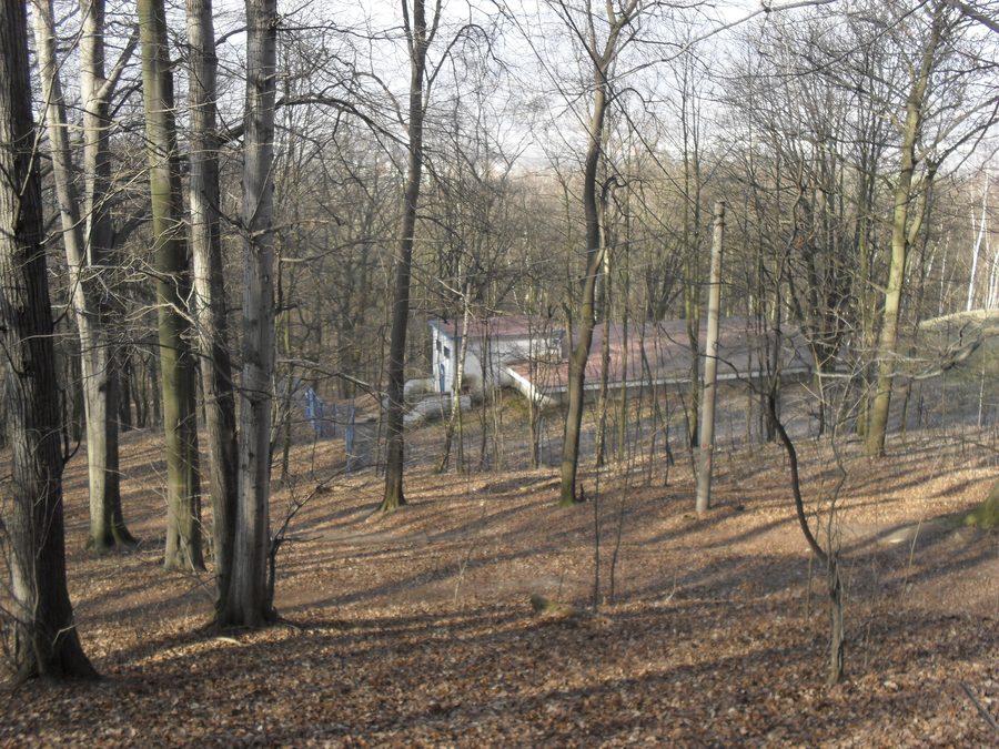 Ruins of Doubravská hora Castle near Teplice