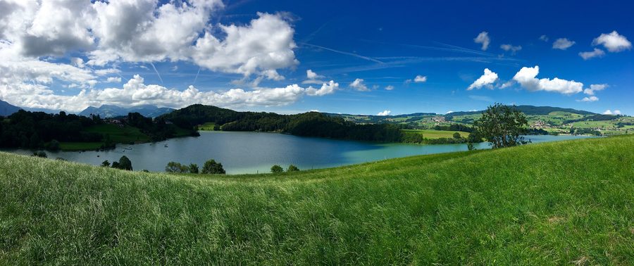 Landscape on Lake Gruyère with lake, shore, and Alps