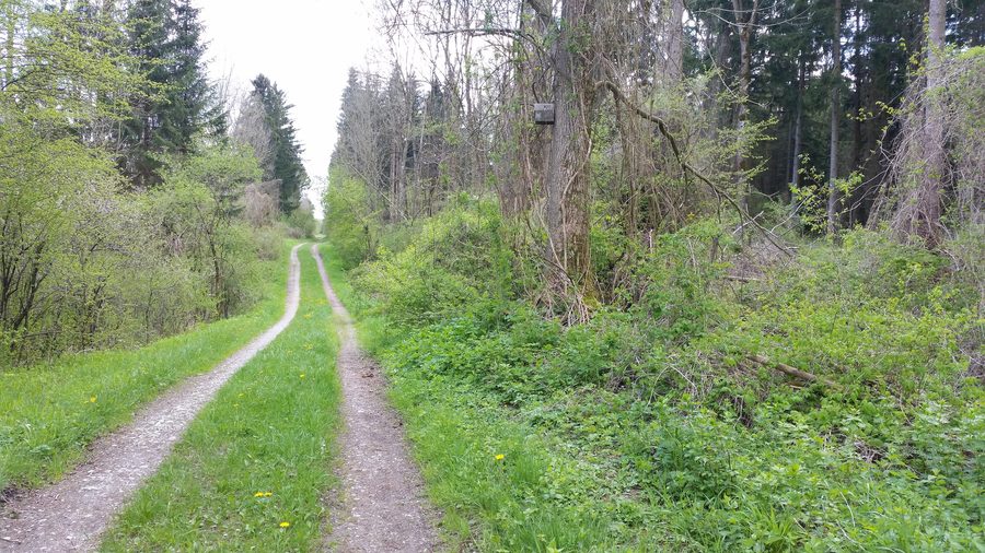 Wertach meadows in the Unterallgäu district, looking south across the eastern bank of the Wertach