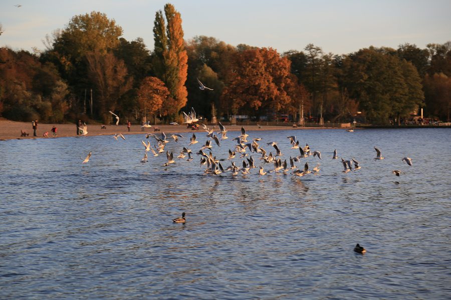 Müggelsee lido in Berlin-Rahnsdorf with a view over the beach