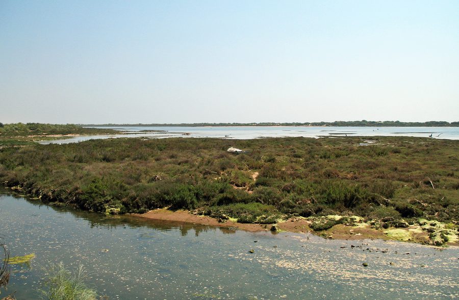 Ria Formosa with lagoon landscape in the Algarve