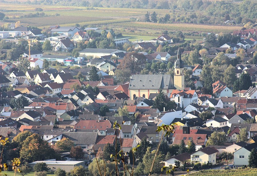 View from Jakobsberg toward the church Saints Peter and Paul in Ockenheim