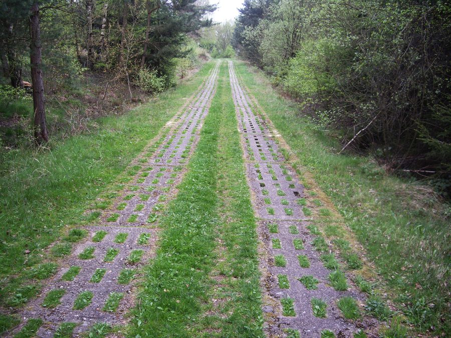 Patrol road at the former inner-German border between Rimbach and the Lindewerra viewpoint in the Eichsfeld
