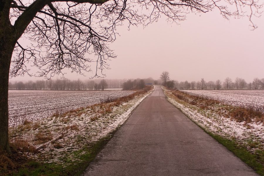 Winter landscape near Tarbek in the Segeberg district in Schleswig-Holstein