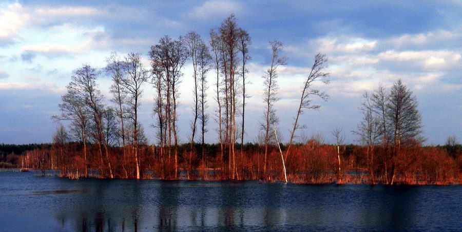 Landscape in Podlasie Bug Gorge Landscape Park