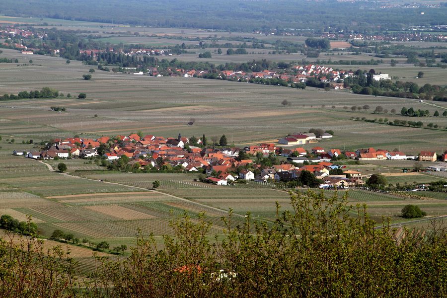 View from St. Anna Chapel over Flemlingen and the vineyards