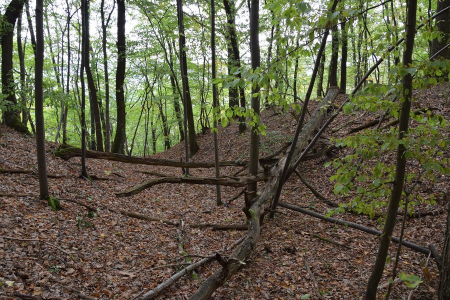 Ditch of a castle site on the Karst Trail in Alten Stolberg