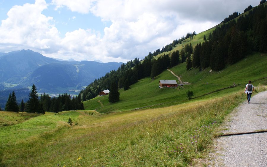 Alpine pastures and mountain scenery in the Bregenzerwald in the Bezau–Reuthe area