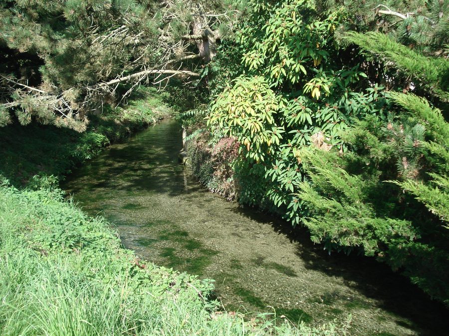 The Biberbach in Langenenslingen, shortly after its source