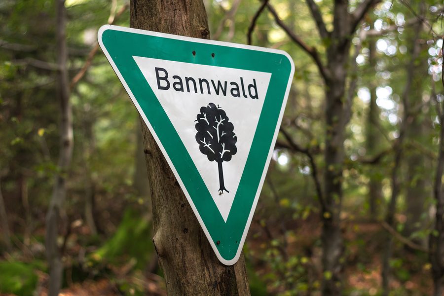 Protected forest sign in a wooded area near the Frau-Holle pond on the Hohe Meißner