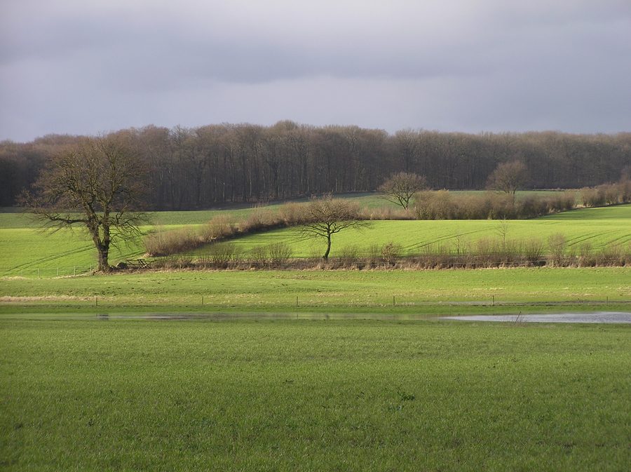 Field landscape near Köthel with the Bille between Stormarn and Herzogtum Lauenburg