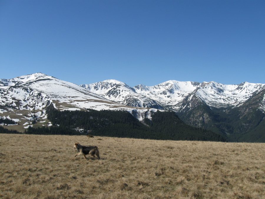 View of the main ridge of the Parâng Mountains in Romania