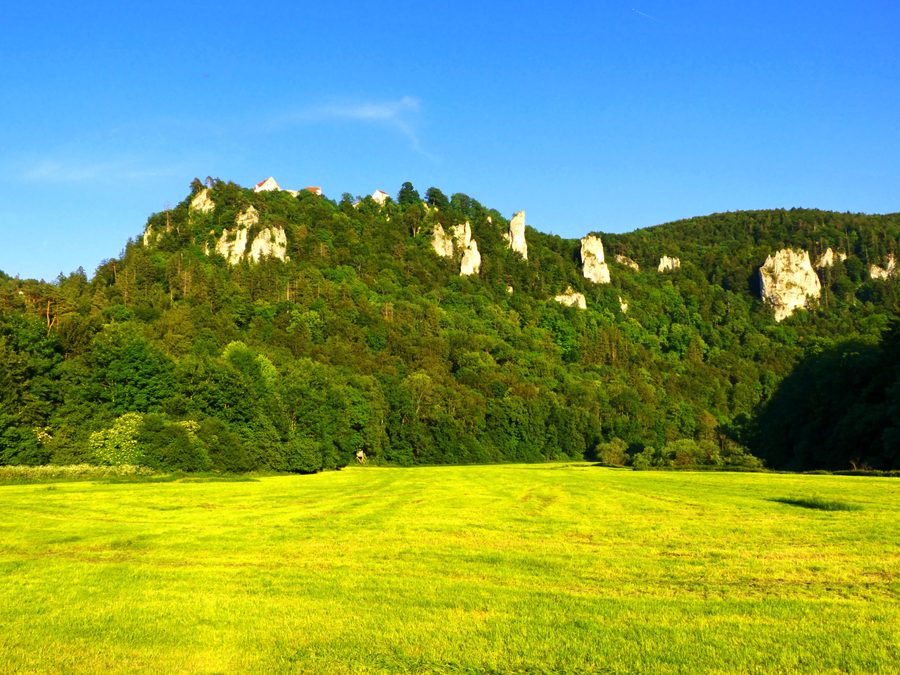 Landscape of the Upper Danube Valley with wooded slopes