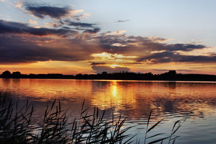 Evening atmosphere on Inselsee near Mühl Rosin