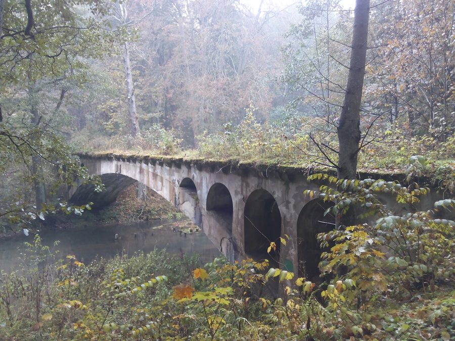 Bridge in the Rominter Heath