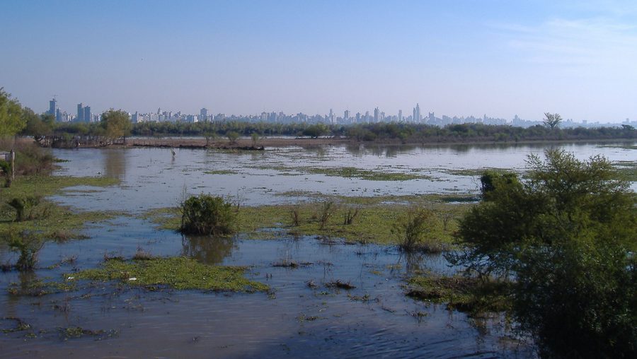 Paraná Delta near Rosario
