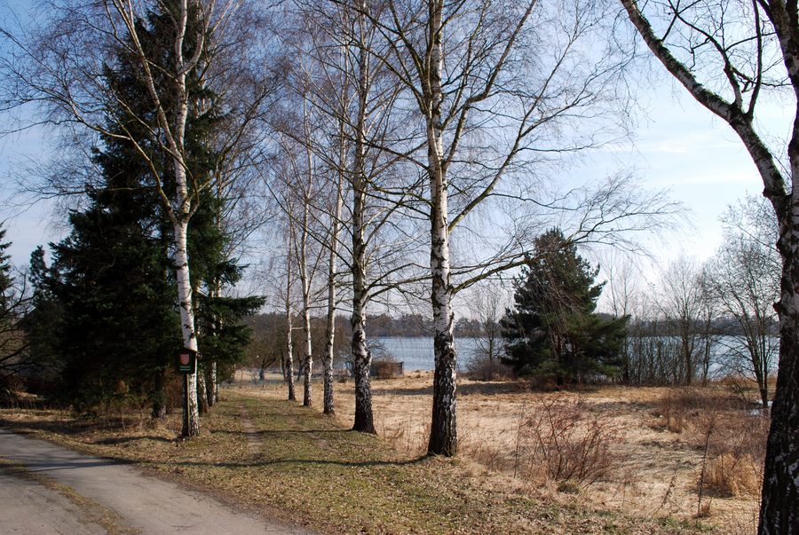 Pond landscape at PonÄ›dražský rybnÃk near Ponedraz