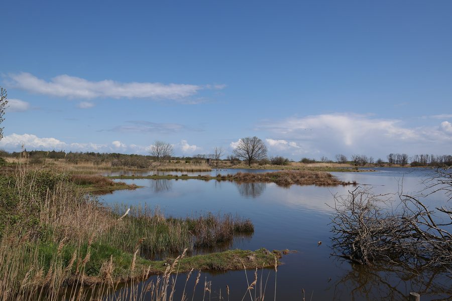 Salt marshes and lagoon in the Geltinger Birk nature reserve