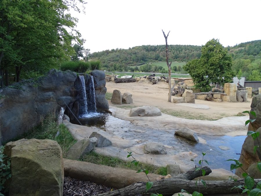 Zoo Praha with a waterfall in the background