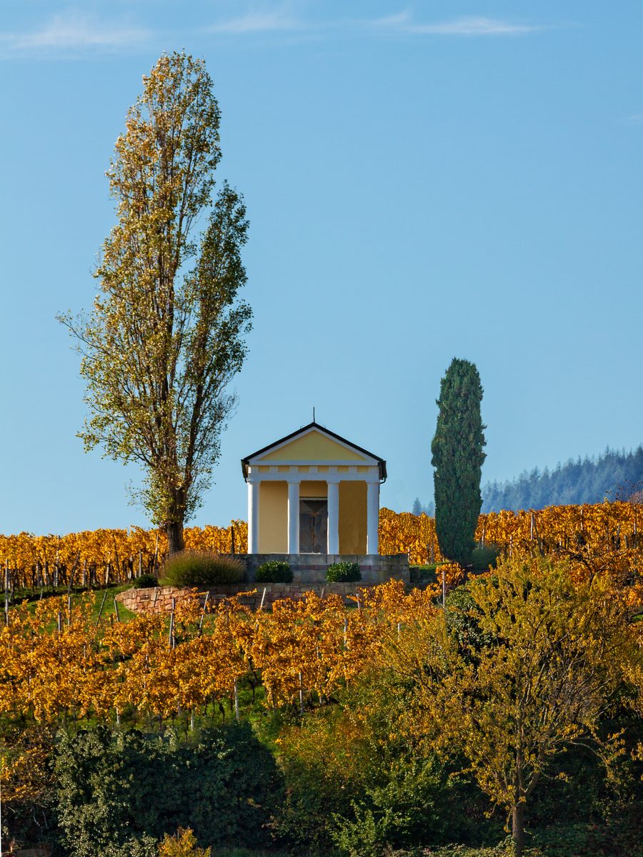 Wine-growing cottage on the Heiligenberg near Maikammer in Rhineland-Palatinate