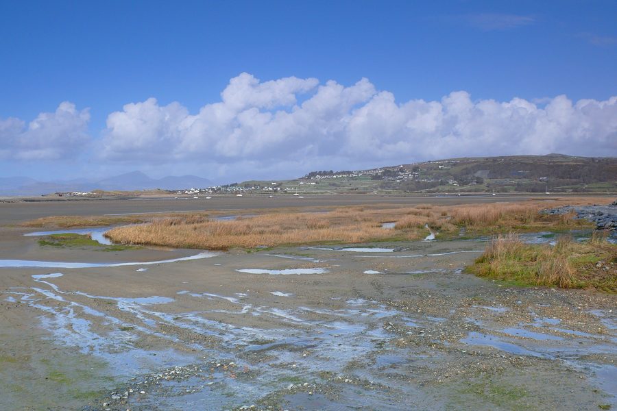 River mouth at Mochras, also called Shell Island