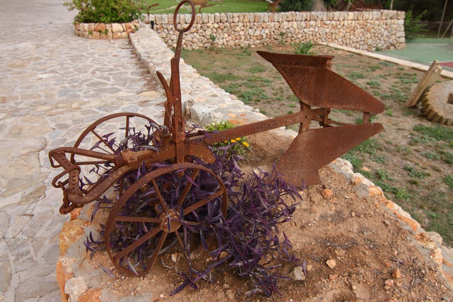 Historic plough in the rural area of Ruberts near Sencelles on Mallorca