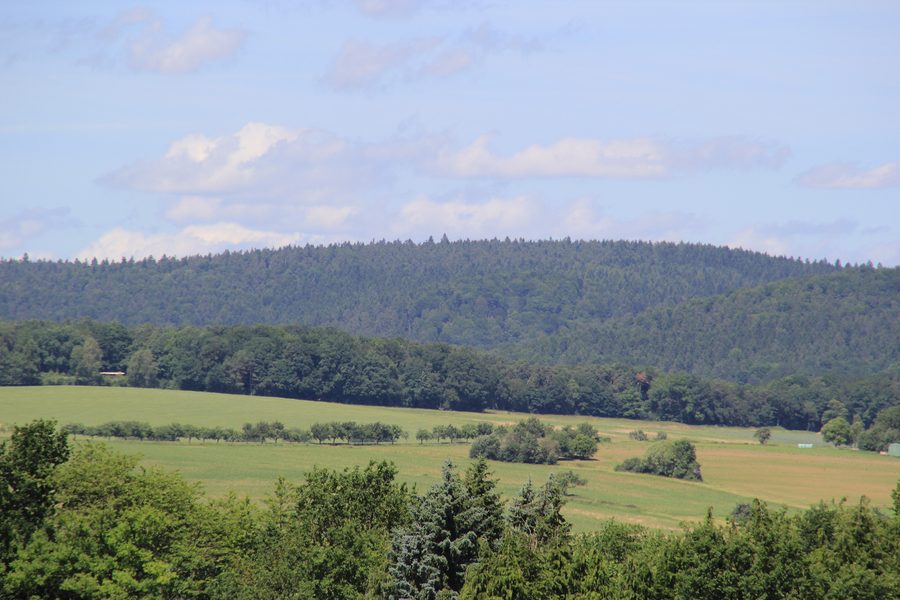 View of the Glasberg near Linsengericht from Schöllkrippen