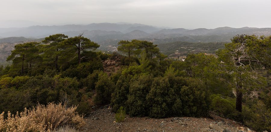 Wide view across the wooded mountain ranges of the Troodos Mountains in Cyprus.