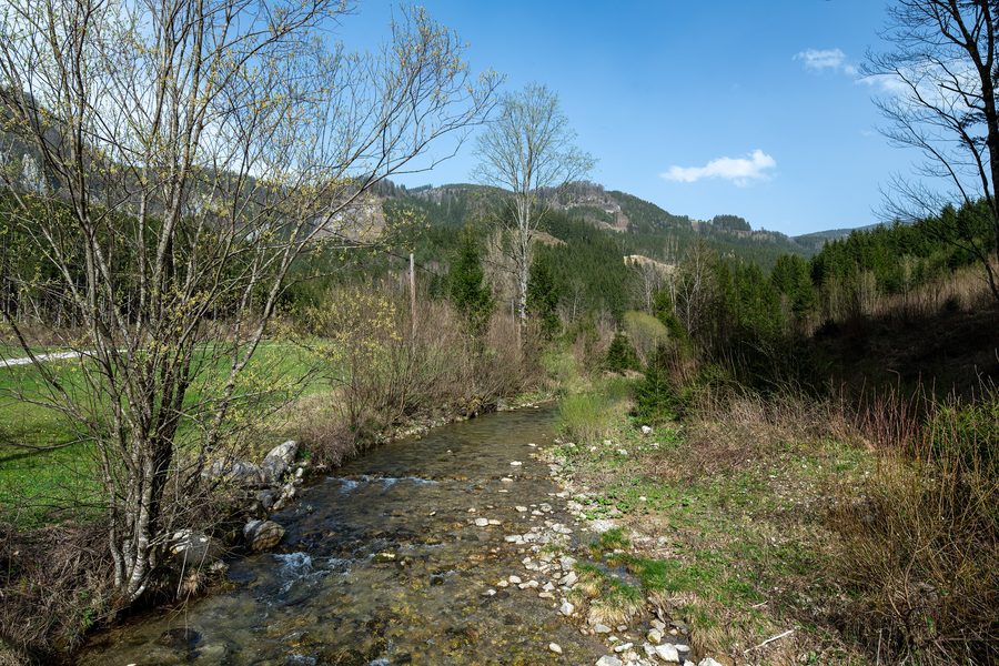 Angerbach in the scattered settlement of Erlaufboden