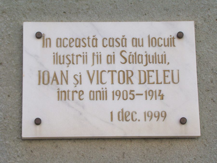 Șimleu Silvaniei, Sălaj county, Romania