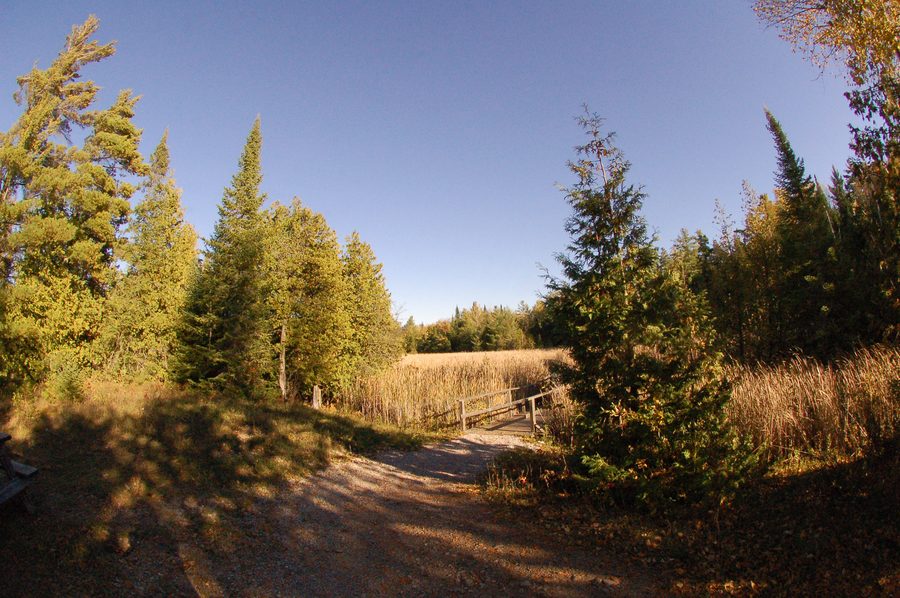 Landscape in Kawartha Lakes, Ontario, Canada