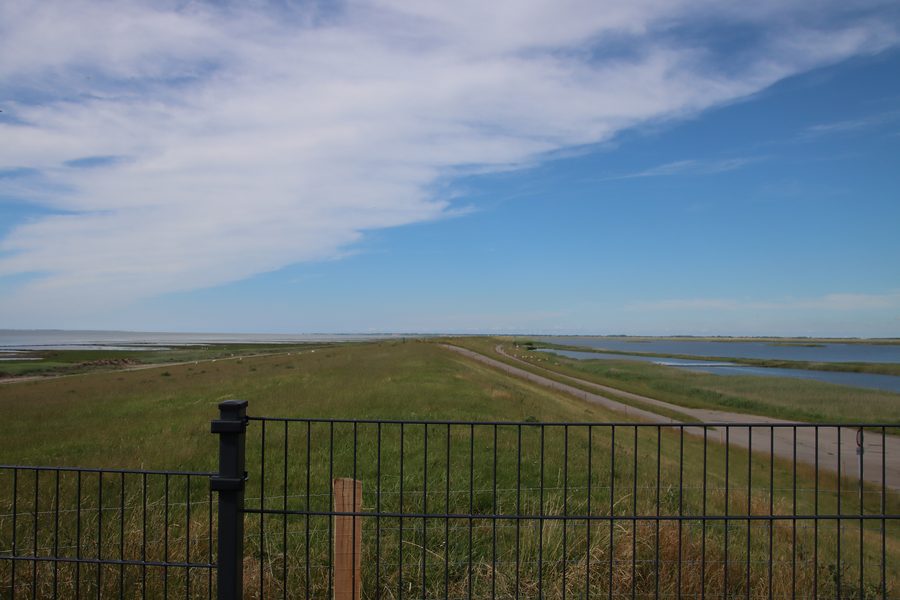 View from the dyke of the Rickelsbüller Koog over the wild boar fence to Denmark