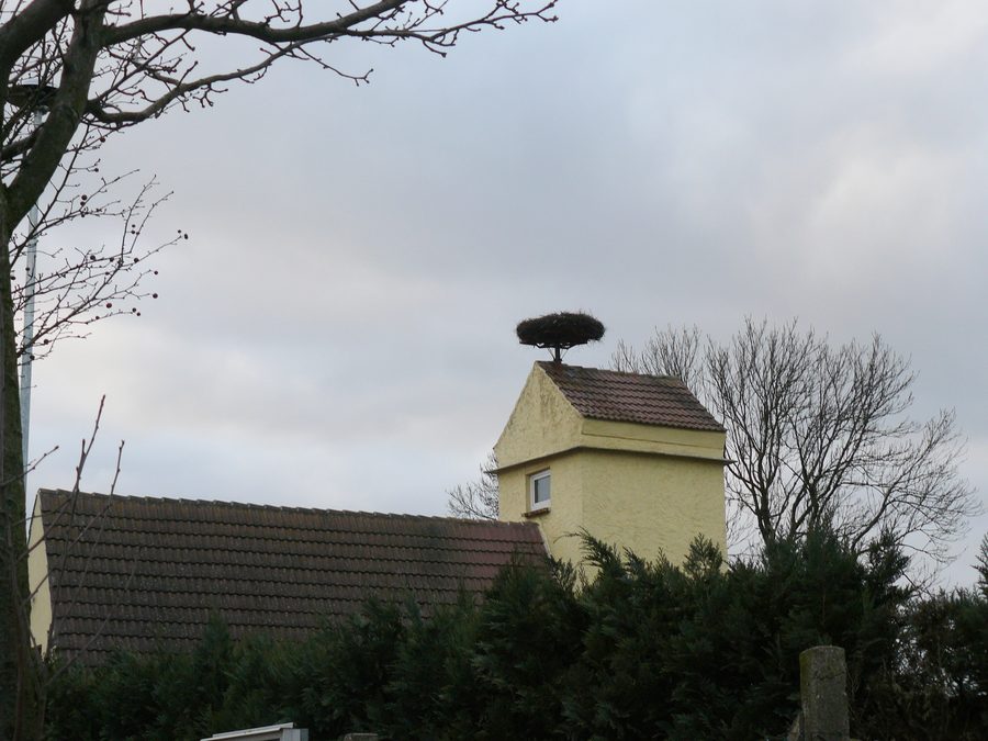 Stork nest in Polzow