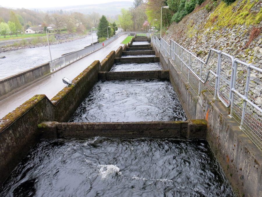 Salmon ladder beside the Pitlochry hydro-electric station
