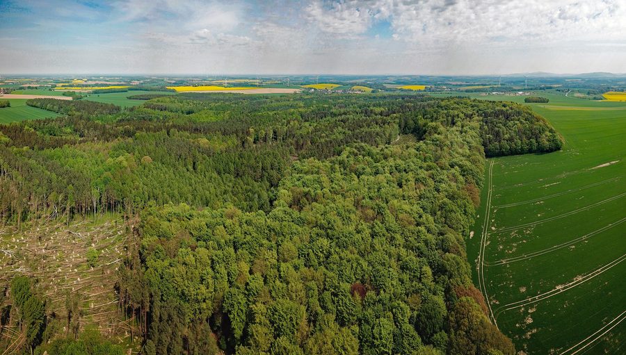 Aerial view of the Taucherwald near Burkau in Saxony
