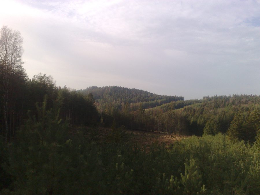 View of Konesův vrch in the cadastral area of Hůrky u Rokycan