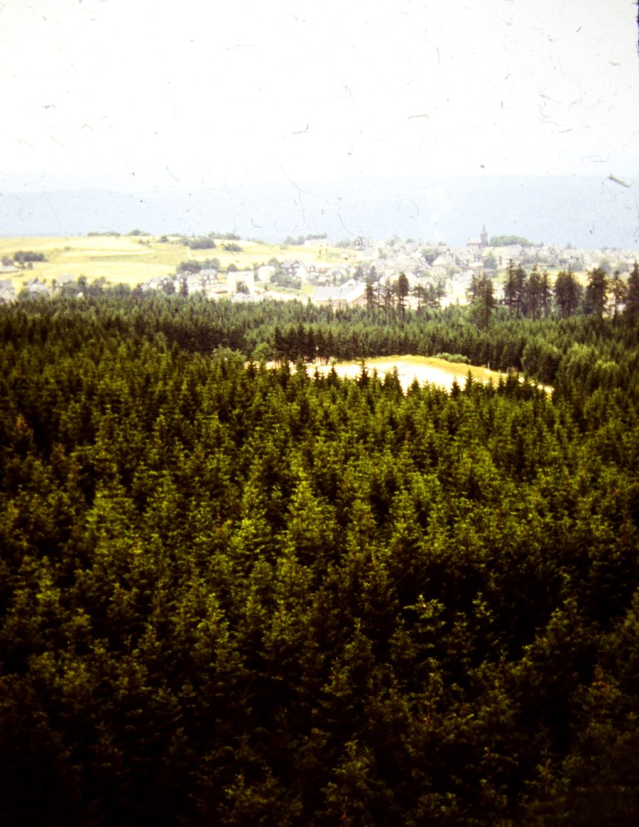 Masserberg seen from the Rennsteigwarte