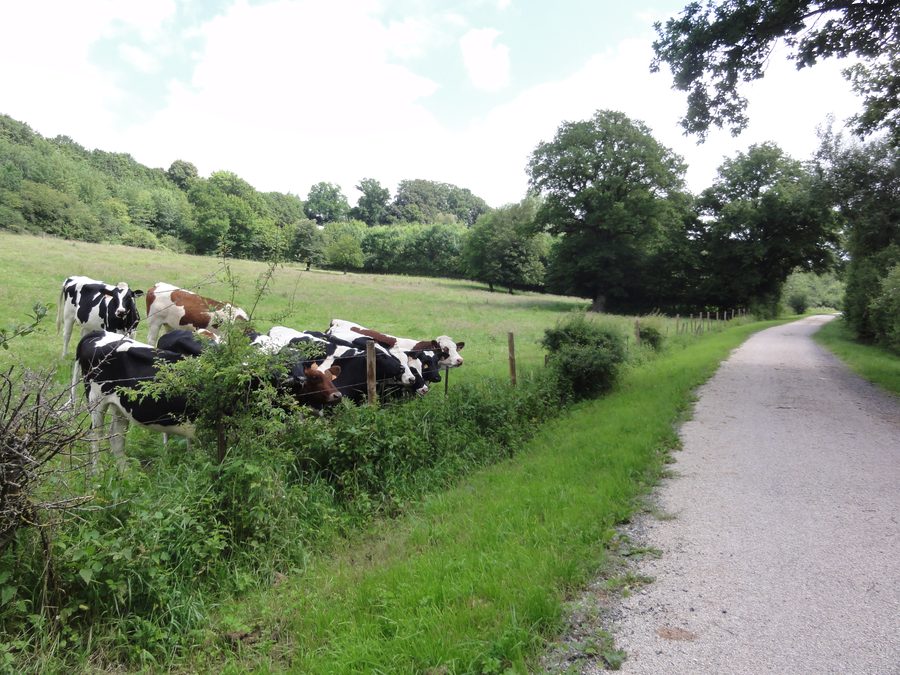 Rural landscape of Thiérache near Gergny in the Aisne department